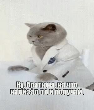 GIF Preview