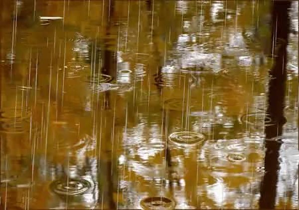 GIF Preview