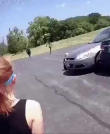 GIF Preview