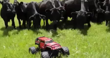GIF Preview