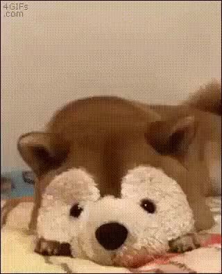 GIF Preview