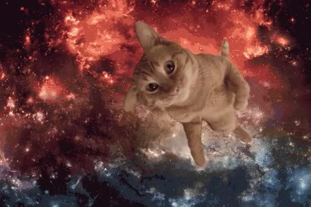 GIF Preview