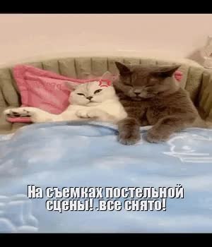 GIF Preview