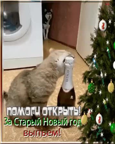 GIF Preview