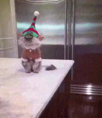 GIF Preview