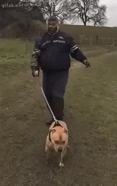 GIF Preview