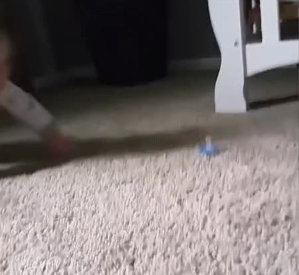 GIF Preview