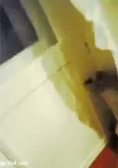 GIF Preview