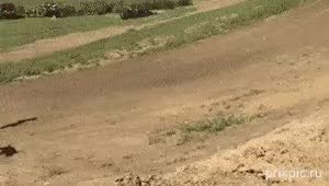 GIF Preview