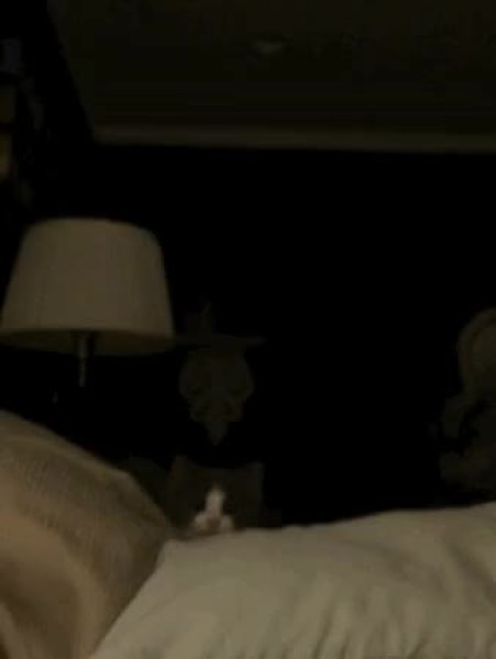 GIF Preview