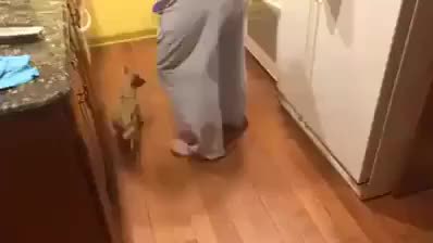 GIF Preview