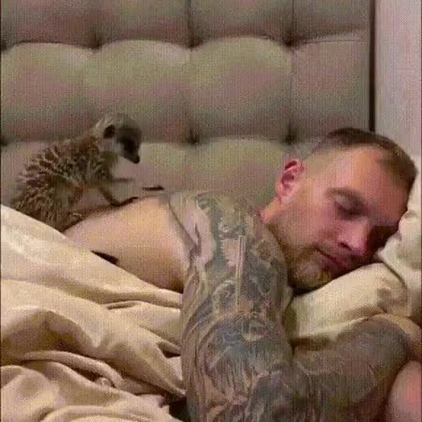 GIF Preview