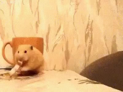 GIF Preview