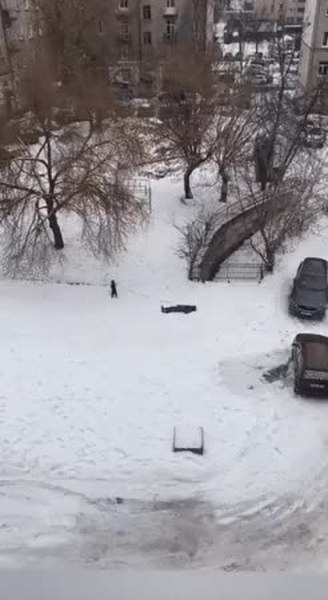 GIF Preview