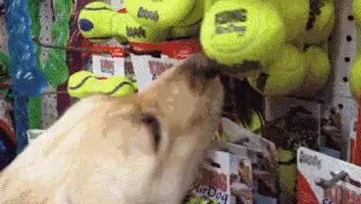GIF Preview