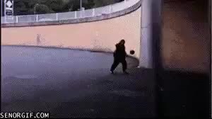 GIF Preview