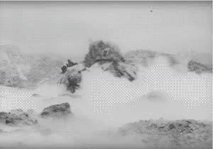 GIF Preview