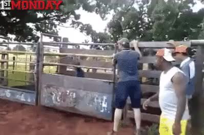 GIF Preview