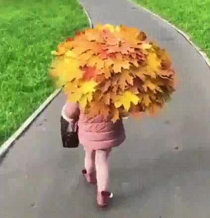 GIF Preview