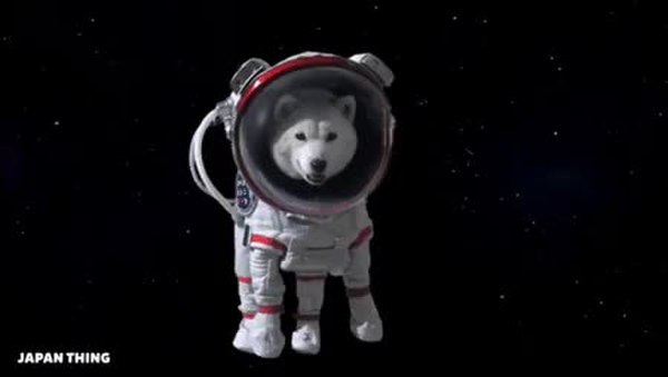 GIF Preview
