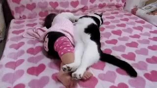 GIF Preview
