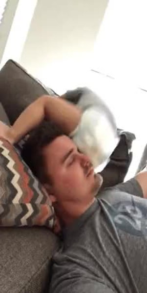 GIF Preview